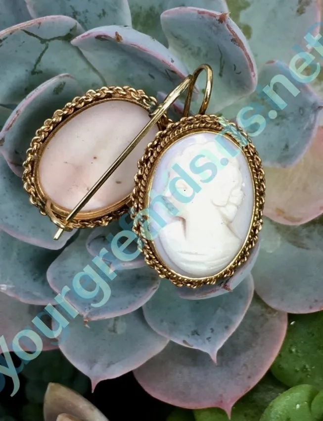 Gold & Shell Cameo Earrings 14k