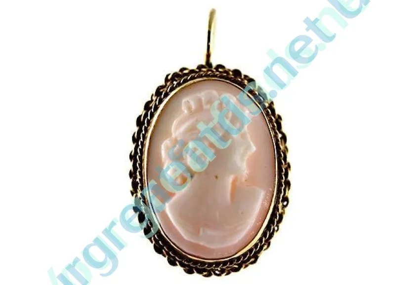 Gold & Shell Cameo Earrings 14k