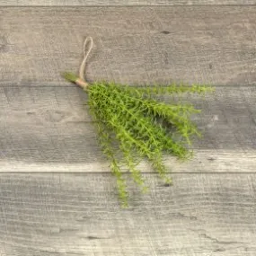 Rosemary Herb Bundle