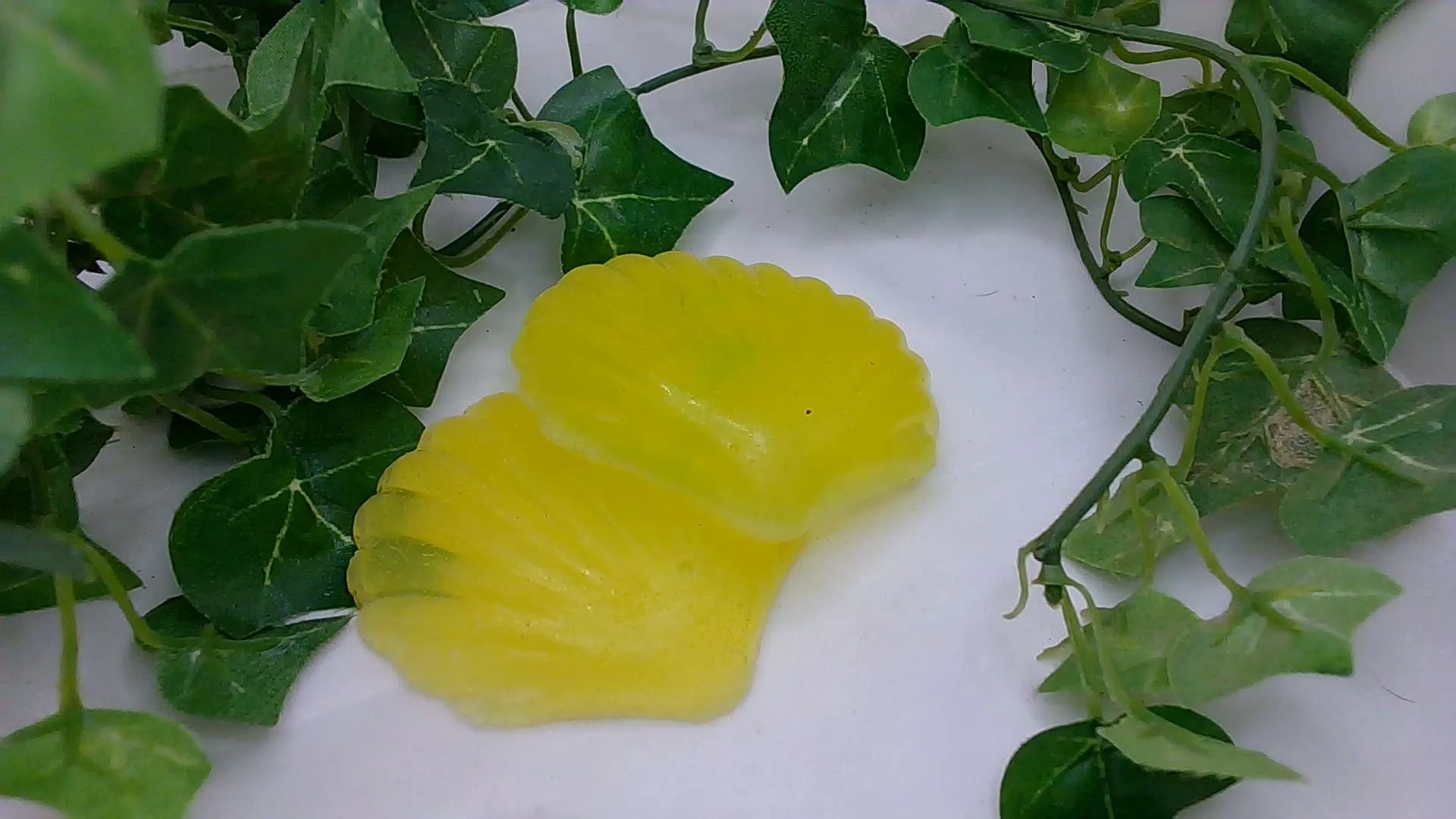 Yellow Jasmine Glycerin Shell Soap